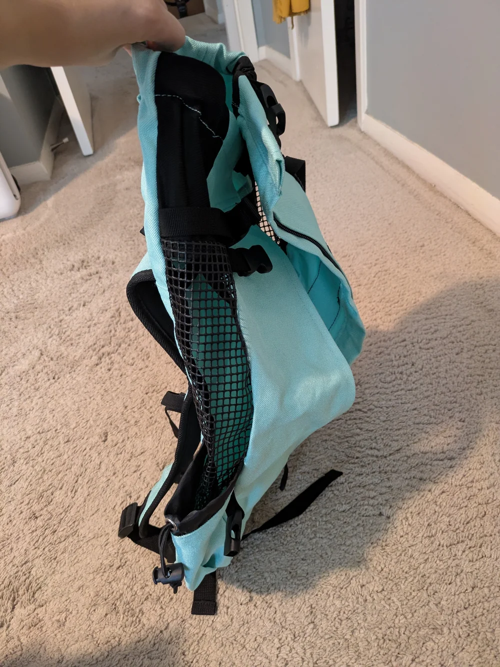 K9 Sport Sack mint green